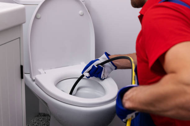 Best Clogged Drain Plumber  in Alb, IA