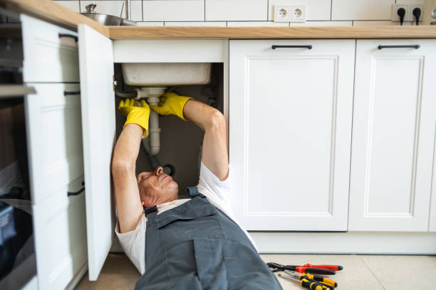 Best 24-Hour Plumber Near Me  in Alb, IA