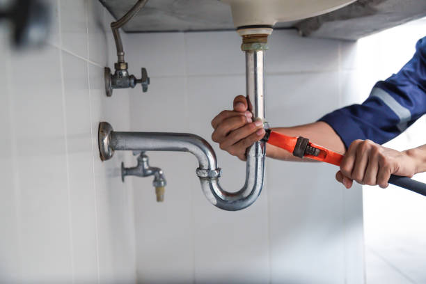 Best Leak Detection Services  in Alb, IA