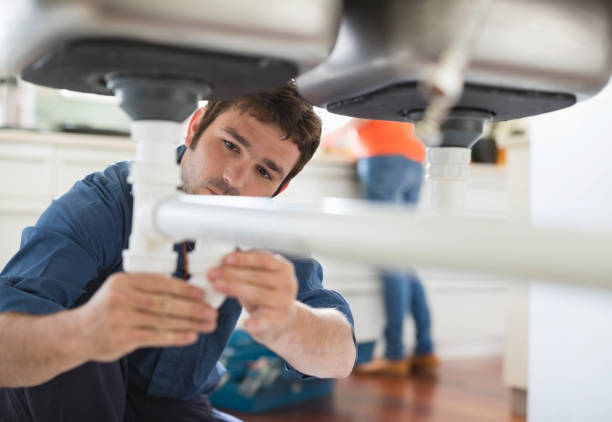 Best Residential Plumbing Services  in Alb, IA