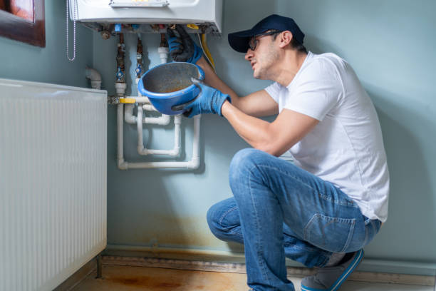 Best Plumbing Services Near Me  in Alb, IA
